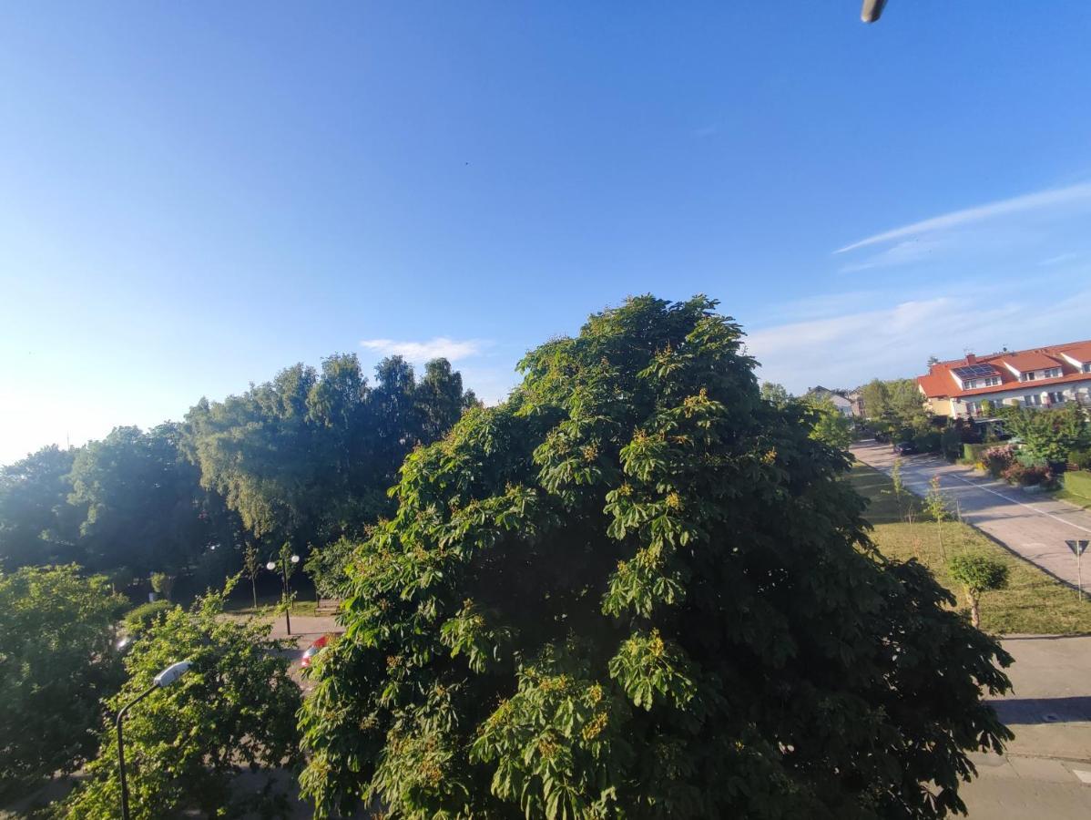 Apartmán Elizabeth Rewal Exteriér fotografie